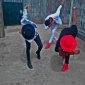 djweb young crew